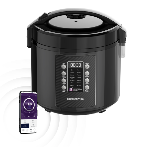 Файл:Polaris PMC 0521 IQ Home.png