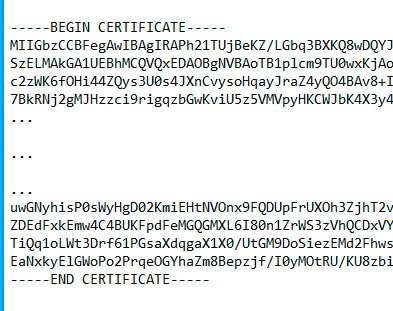 Файл:Ssl cert sample.jpg