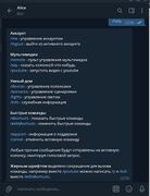 Alice speaker bot-2.jpg