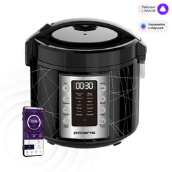Polaris PMC 5020 IQ Home.png