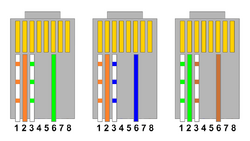 100Mb crimping.png