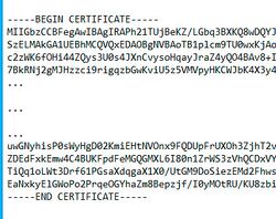 Ssl cert sample.jpg