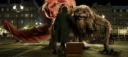 Fantastic-beasts-and-where-crop.jpg